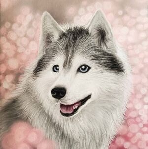 Husky Portrait - Original Artwork - Pastel Pencil Drawing